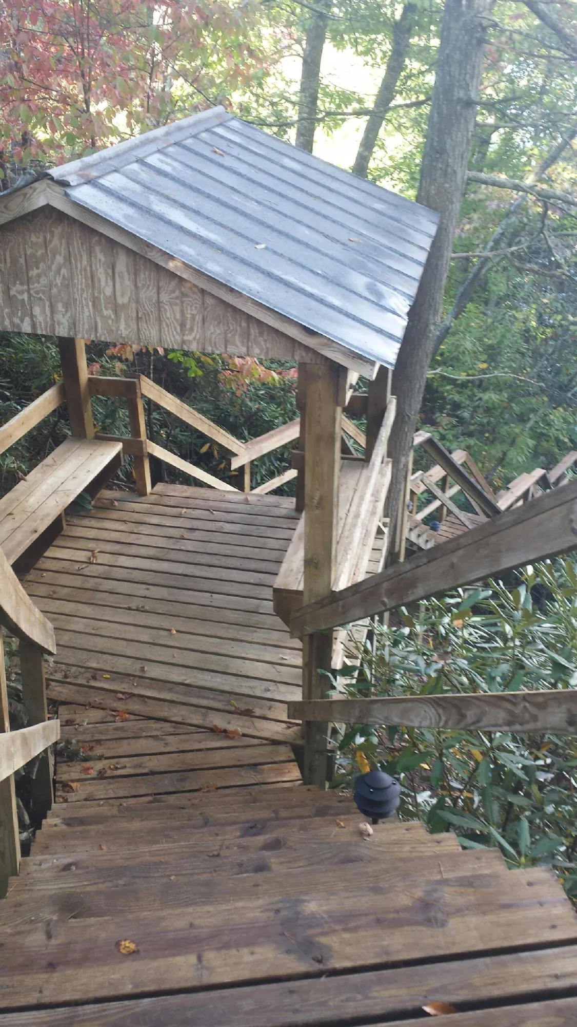 Metal roofed shelter over wooden steps on a wooded walkway — Skylight Repair & Installation work by our crew in Woodland